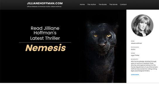 Digital MindScapes Client Preview – Jilliane Hoffman Website